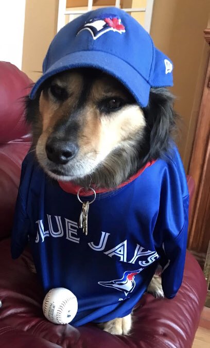 Cmon #Jays you’re boring me when we are losing I’m not used to losing lately my broom 🧹 is on standby in da 5th