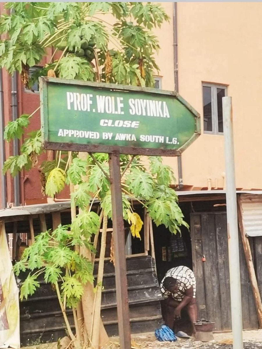 DrKalu_'s tweet image. Emeka and Chinedu are making millions daily in Lagos while some lazy people are busy renaming streets and bus-stops to Popoola and Olaniyi.
🤣🤣🤣.

Peter Obi is coming.