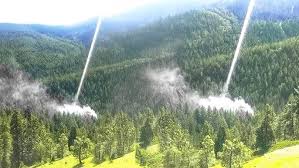 Does planting trees actually cool the planet?

mysl.nl/CnQPX