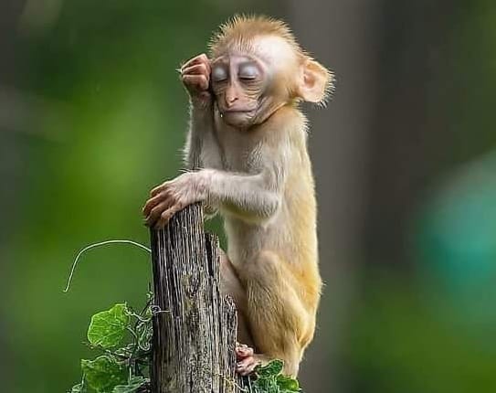 <a href="/Khenzo4nic/">Le triplet 👦🏽👧🏼👦🏽🇿🇦🇰🇪</a> 🤣 🤣 🤣 🤣 🤣 🤣 🤣 🤣 🤣 🤣 🤣 🤣 🤣 🤣 🤣 🤣 🤣 🤣 Batswadiiiiiii mxm