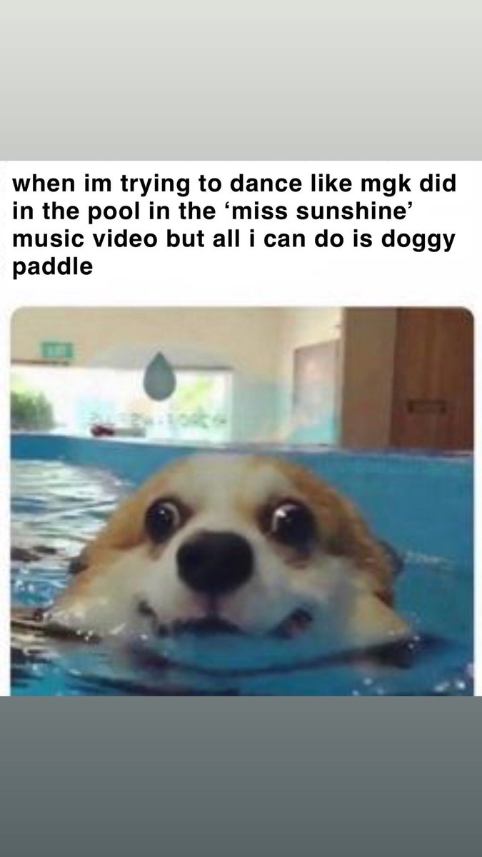 ANYONE ELSE???? 🤣🤣🤣