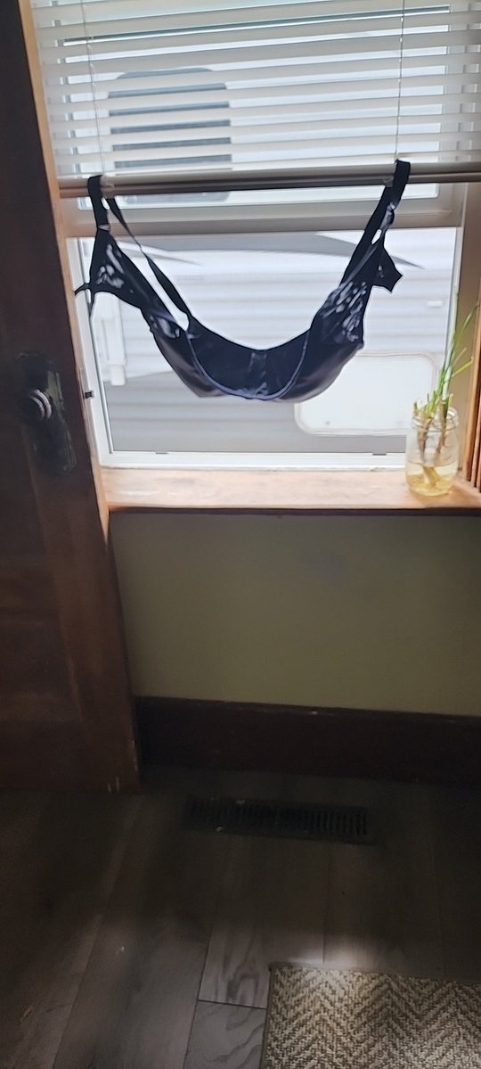 augeradam's tweet image. Things you will only see in a boomers house, the wife drying her delicates in the window. 
Yes, she is okay with this post, she laughed in fact.