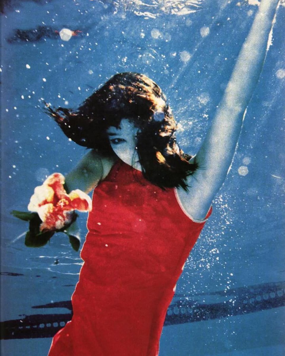 bjorkarchivee's tweet image. Björk underwater with a water lily, 1995. 🌺
📸Kate Garner
