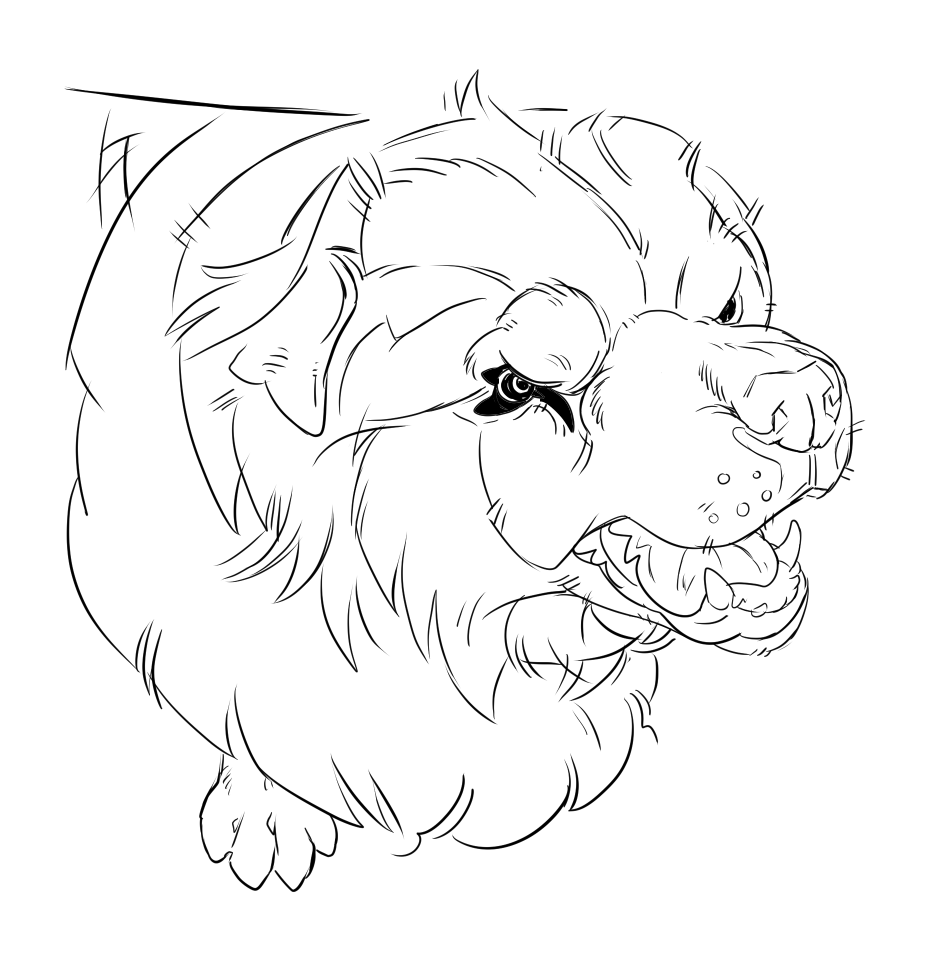 Srutisss's tweet image. D O G