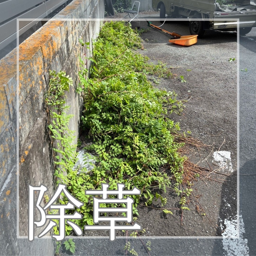 PLUS_WORKS's tweet photo. 沼津市リピーター様からのご依頼
駐車場の草取り、お急ぎの作業希望
無事、作業終了
他の作業予約もいただきました。ありがとうございます。
＃沼津市
＃草取り
＃便利屋
＃不用品回収 https://t.co/SXEXGLzYta