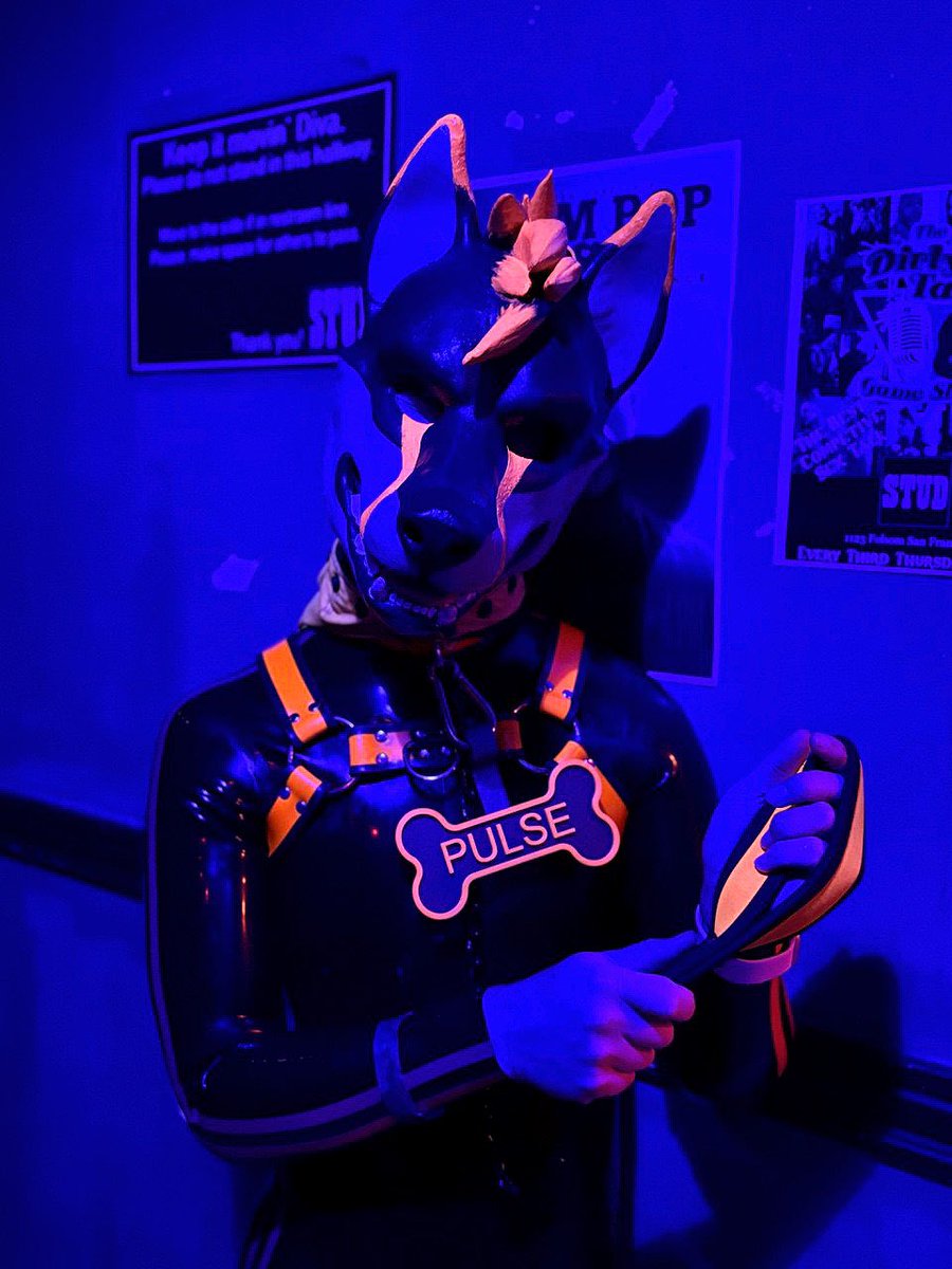 My leash? Sorry, this is the spare I brought to walk you in front of everyone at Dore~ 🦮

📸: <a href="/PilsenbyDesire/">Pilsen</a> 

#shinySunday #rubberfur