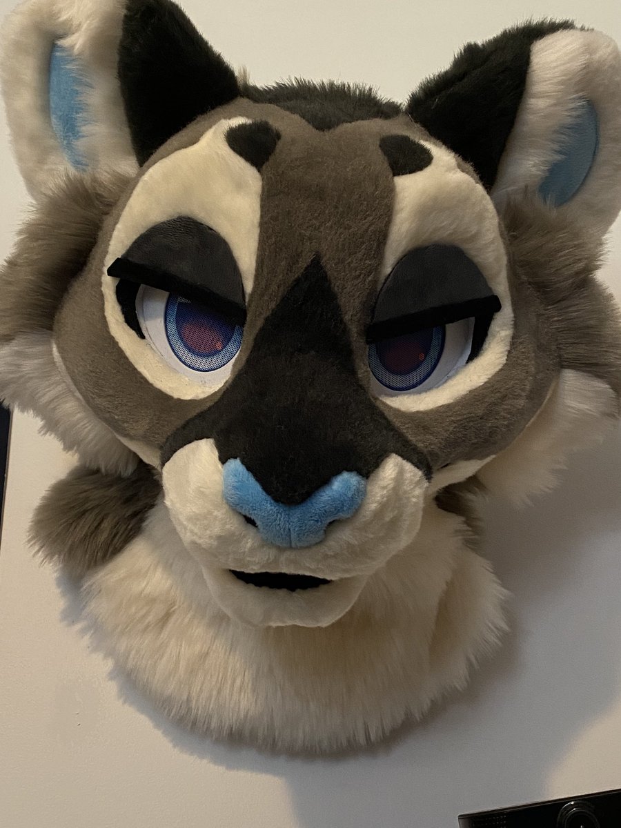 Camiโค๏ธ (@aquaiights) on Twitter photo he wont stop staring at me like that, someone get him to stop :c he wont stop staring at me like that, someone get him to stop :c