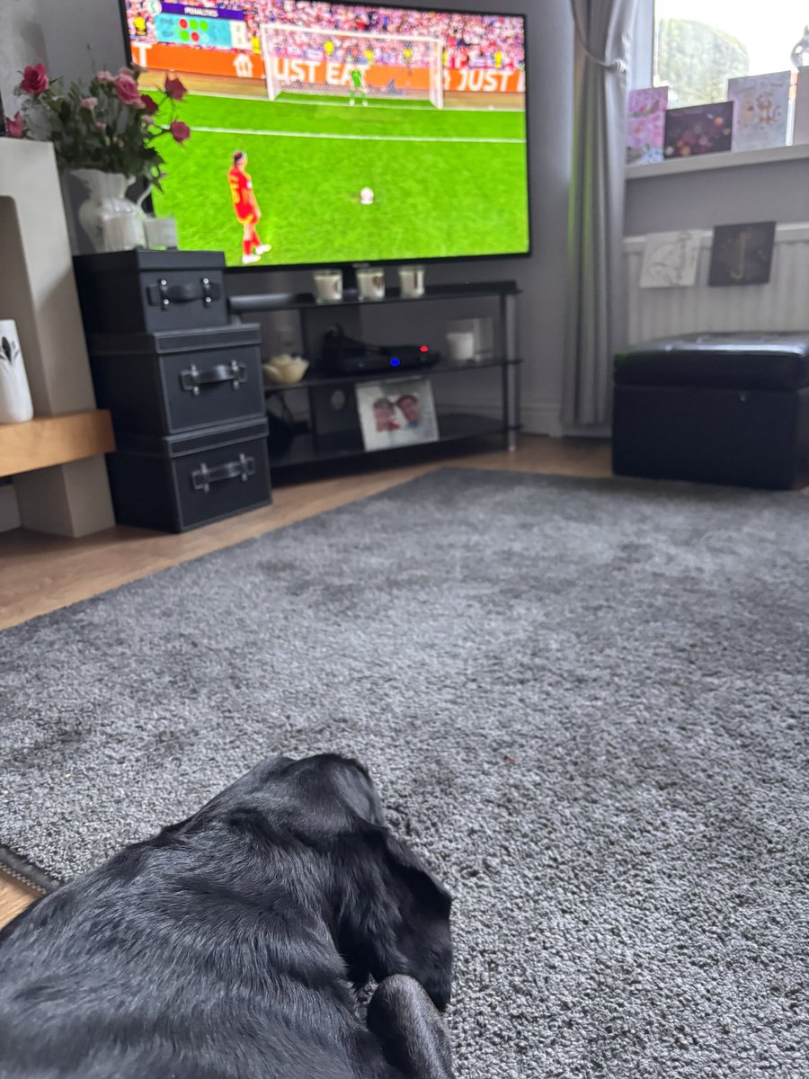 Even Skye can’t contain her excitement #womenseuros2025