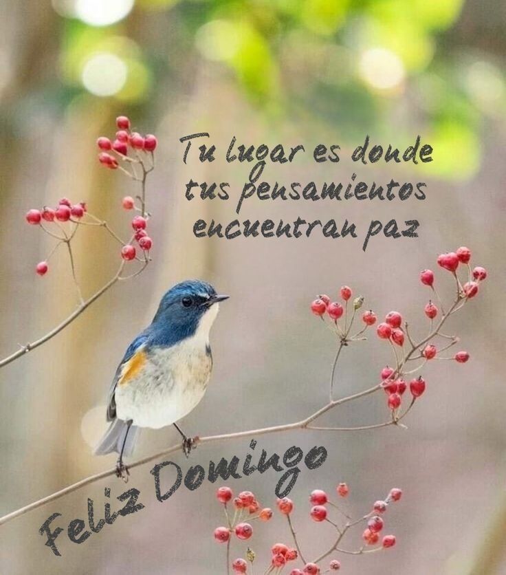CKadaffy (@kadaffyn) on Twitter photo <a href="/Cruzamaranta/">Virginia Cruz</a> <a href="/4T_Mexico_/">Manolo Obradorista por Siempre ¡VIVA MÉXICO!</a> <a href="/EYACAR65/">EYA</a> <a href="/Martinsantome57/">GRACIAS A AMLO POR CONVERTIRME EN OBRADORISTA!!!</a> <a href="/MariaEl95097388/">Mariel</a> <a href="/hula_gonna/">Hula Gona</a> <a href="/GonzlezRa12/">Luis#RedEsSheinbaum 👊🇲🇽 #DeZurdaTeam 🇨🇺🇵🇸🇷</a> <a href="/guilbert_ga/">Guilbert 🇲🇽🍉</a> <a href="/rociomag3/">ROSQUI MARÍA</a> <a href="/QuinquePolitico/">Isabel /El Quinqué Político 🪔</a> <a href="/DULCEPOLY11/">DULCE POLY</a> <a href="/salgado_VIII/">David xx</a> <a href="/BeanaNova/">gregorio beaña nova</a> <a href="/garadidele/">Pavaroti</a> <a href="/AliciaDeToma2/">Alicia De Toma,te sigue</a> <a href="/gualelli/">Judith Martínez</a> <a href="/analuna74/">AnaLuna✍️ Morena de ❤️ y piel</a> <a href="/MarcosDelado/">marcos</a> <a href="/slechugavega/">Samuel Lechuga🇲🇽🇨🇭</a> <a href="/Barmilcar/">AMILCAR PARTIDA *EL PADRINO*</a> Cuando un nuevo amor te encuentra y te rescata de la tristeza, es como volver a nacer y creer que el amór lo puede todo. Gracias Vicky ⚘️ pasa un feliz domingo. <a href="/Cruzamaranta/">Virginia Cruz</a> <a href="/4T_Mexico_/">Manolo Obradorista por Siempre ¡VIVA MÉXICO!</a> <a href="/EYACAR65/">EYA</a> <a href="/Martinsantome57/">GRACIAS A AMLO POR CONVERTIRME EN OBRADORISTA!!!</a> <a href="/MariaEl95097388/">Mariel</a> <a href="/hula_gonna/">Hula Gona</a> <a href="/GonzlezRa12/">Luis#RedEsSheinbaum 👊🇲🇽 #DeZurdaTeam 🇨🇺🇵🇸🇷</a> <a href="/guilbert_ga/">Guilbert 🇲🇽🍉</a> <a href="/rociomag3/">ROSQUI MARÍA</a> <a href="/QuinquePolitico/">Isabel /El Quinqué Político 🪔</a> <a href="/DULCEPOLY11/">DULCE POLY</a> <a href="/salgado_VIII/">David xx</a> <a href="/BeanaNova/">gregorio beaña nova</a> <a href="/garadidele/">Pavaroti</a> <a href="/AliciaDeToma2/">Alicia De Toma,te sigue</a> <a href="/gualelli/">Judith Martínez</a> <a href="/analuna74/">AnaLuna✍️ Morena de ❤️ y piel</a> <a href="/MarcosDelado/">marcos</a> <a href="/slechugavega/">Samuel Lechuga🇲🇽🇨🇭</a> <a href="/Barmilcar/">AMILCAR PARTIDA *EL PADRINO*</a> Cuando un nuevo amor te encuentra y te rescata de la tristeza, es como volver a nacer y creer que el amór lo puede todo. Gracias Vicky ⚘️ pasa un feliz domingo.