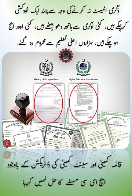 Organic_Nautre's tweet photo. @Pakistanhealth4 HEC’s negligence is forcing degree holders into low-paid jobs or unemployment, ruining the nation's human capital #AttestOurDegreesHEC #StopPlayingWithFutures #54KStudentsNeedJustice @hecpkofficial @Pakistanhealth4 @pakpmoffice @geonews_english @Dawn_News @DunyaNews @HamidMirPAK https://t.co/8M52BI5XEo