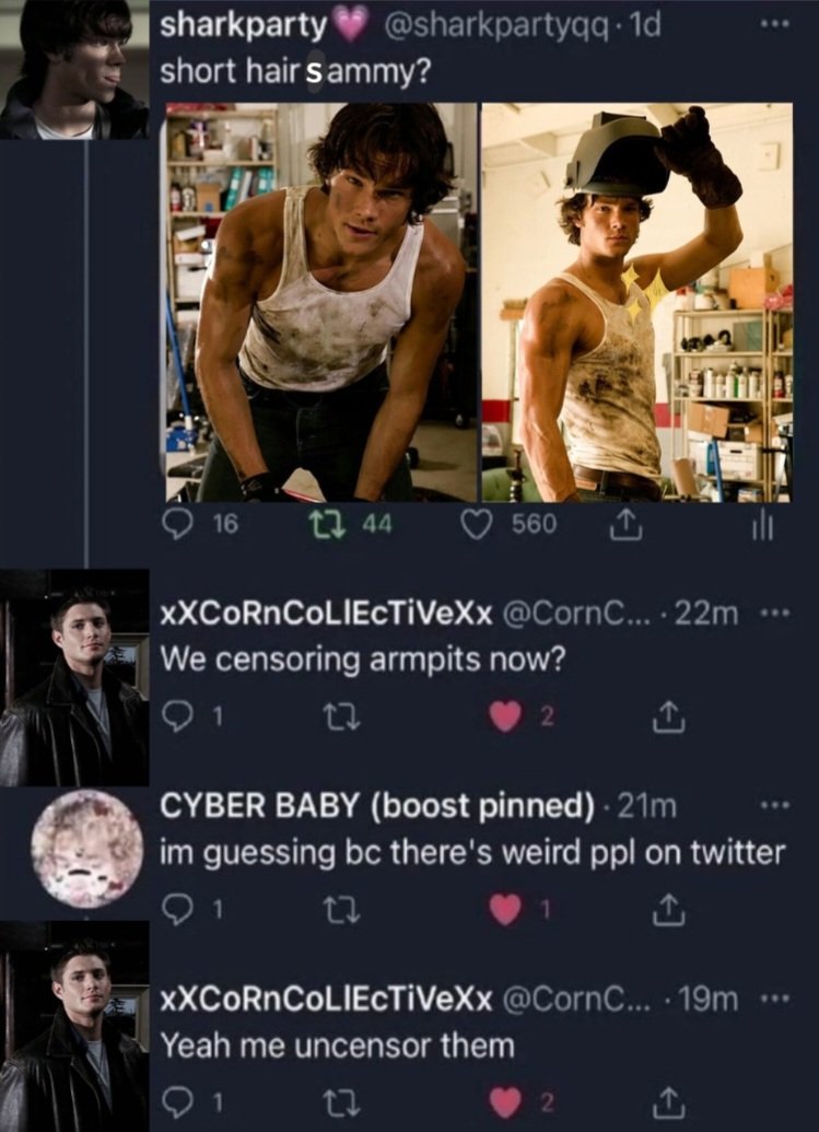 algposthater's tweet image. #wincest