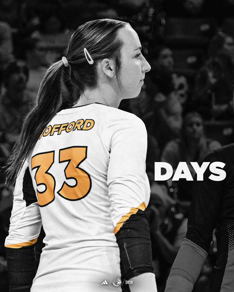 Wofford Volleyball (@woffordvb) on Twitter photo Start marking those calendars!! 📅 We are officially Laney Klika days away from opening the 2025 season! 🤩
#ConquerAndPrevail Start marking those calendars!! 📅 We are officially Laney Klika days away from opening the 2025 season! 🤩
#ConquerAndPrevail
