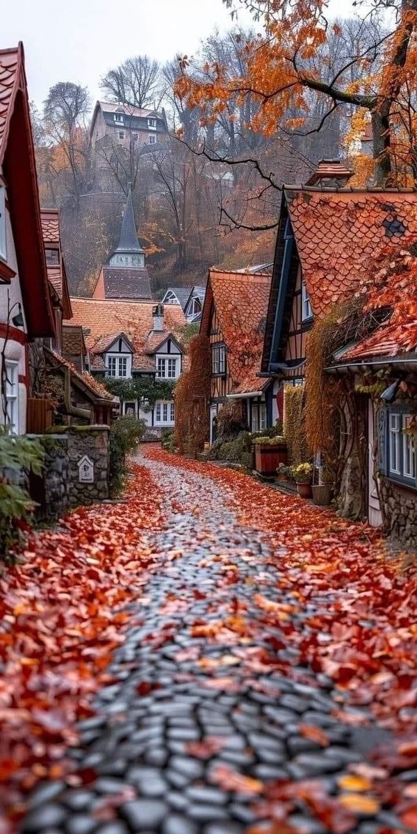 World like paradise (@magical__views7) on Twitter photo 