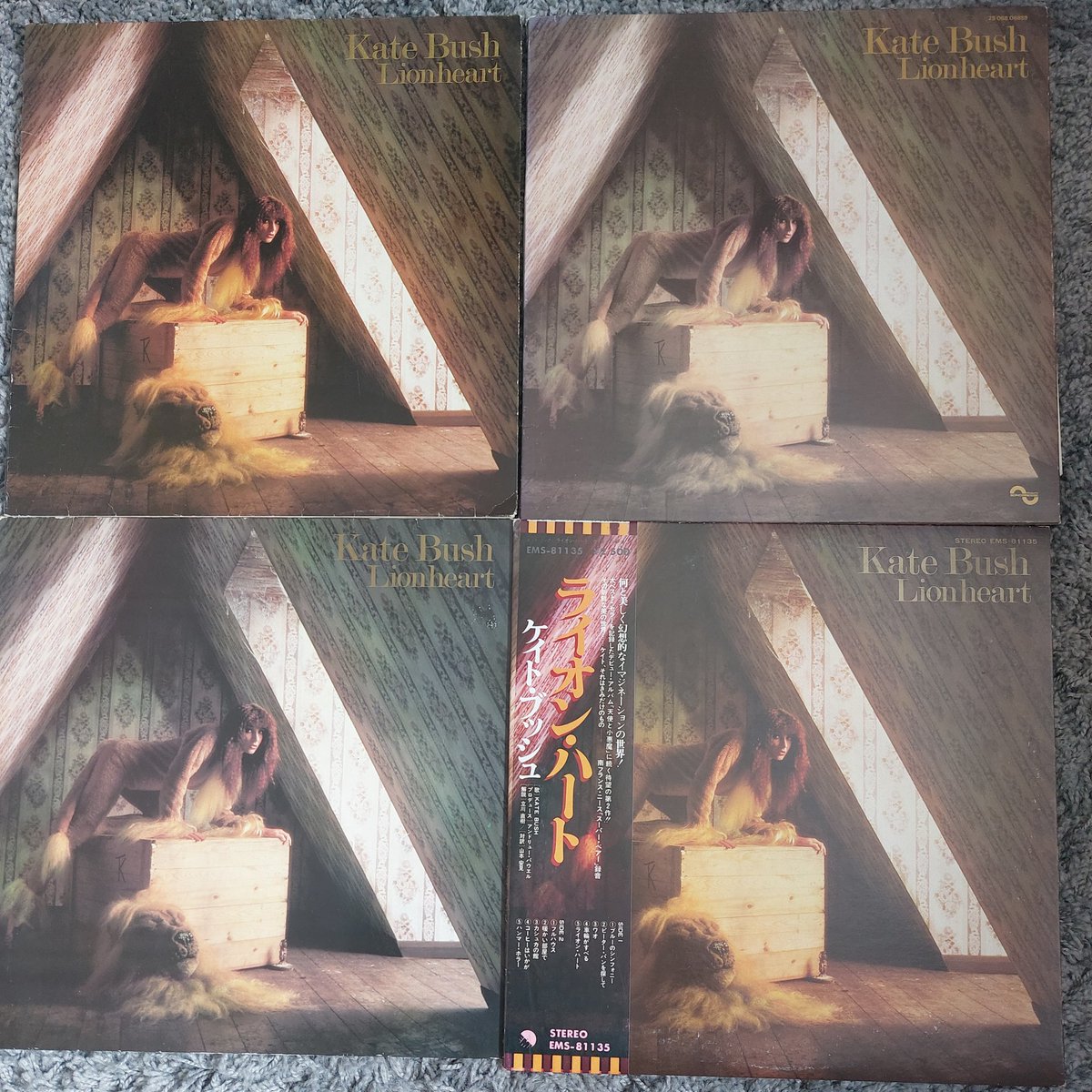 johncox2112's tweet image. #KateBush
Lionhearts 🦁🦁
U.K. , French, German, Japanese. USA. & cds