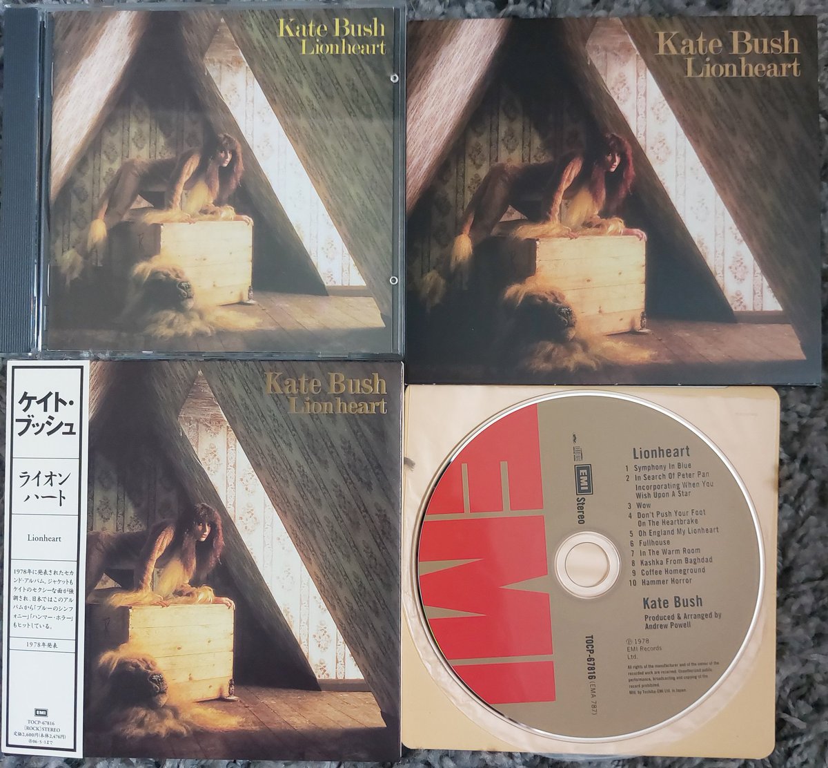 johncox2112's tweet image. #KateBush
Lionhearts 🦁🦁
U.K. , French, German, Japanese. USA. & cds