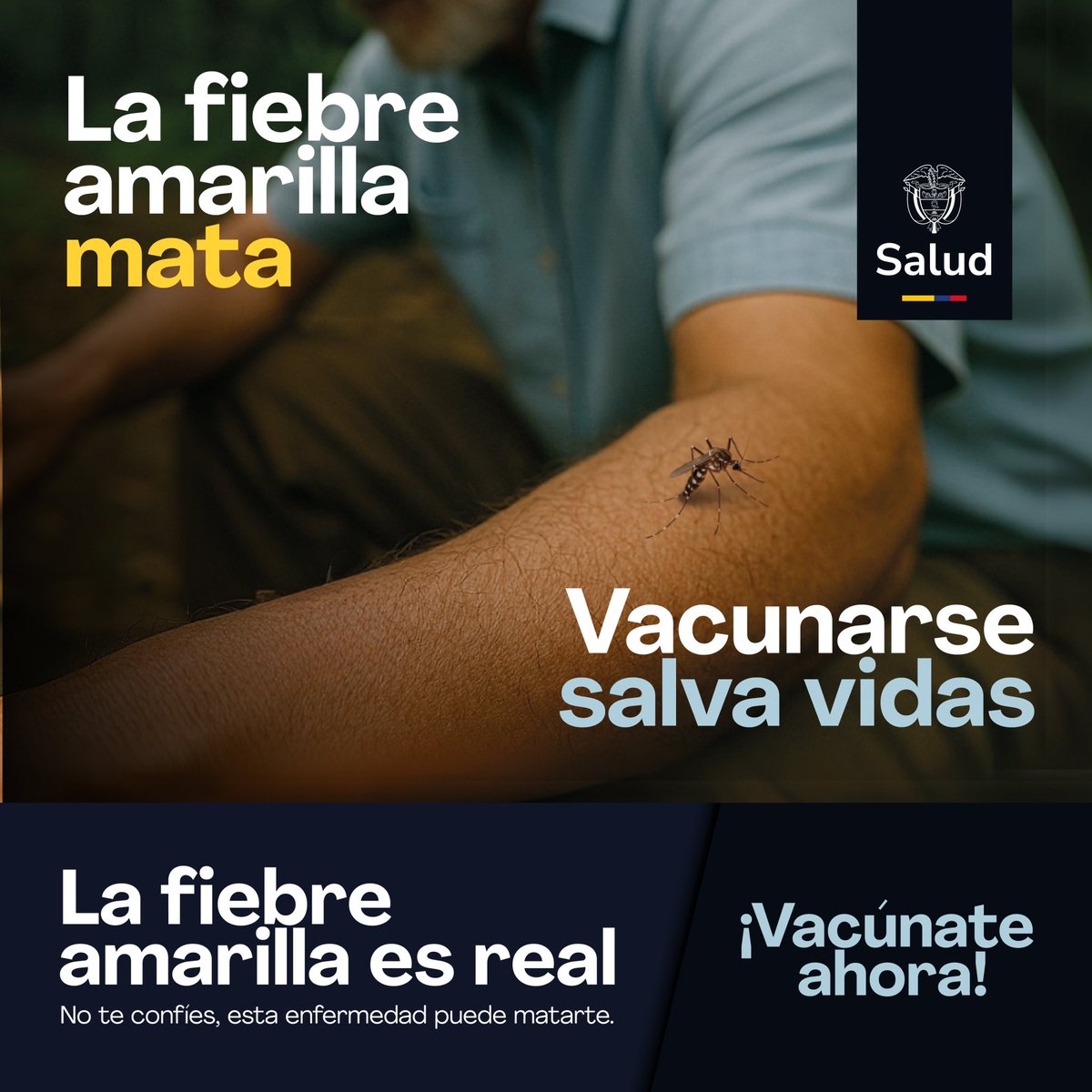 Si vives o vas a viajar a zonas de muy alto riesgo, vacúnate contra la fiebre amarilla. 

Es una sola dosis, gratis y de por vida. No pongas en riesgo tu salud ni la de los demás. 

La fiebre amarilla mata, #VacunarseSalvaVidas