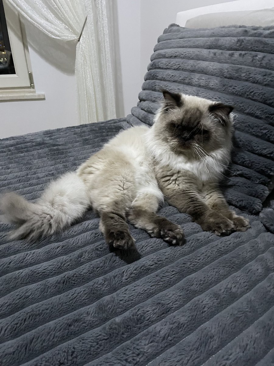 AtakkGull's tweet image. Bu çocuğu hasta diye sokağa atmışlar, yavrum çöpte yemek ararken gözüne kürdan batmış, yuva aramıyoruz çünkü o bizim, bizim, bizim❤️