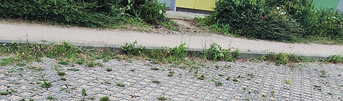 laurent27100's tweet image. Val-de-Reuil opté pour des places de parking en gravier est nul. C'était évident que cela allait être envahi par les mauvaises herbes. La troisième photo est plus soignée, car le gazon est plus facile à entretenir. C'est mon avis perso.
