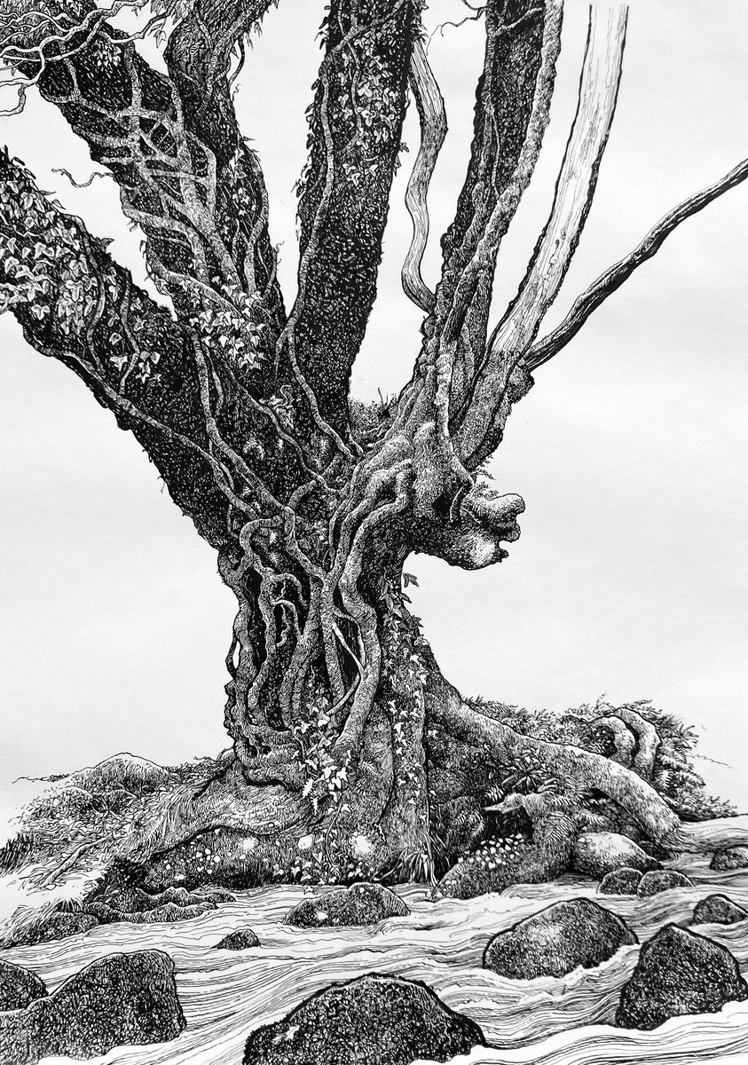 philipreeve1's tweet image. Tree by a stream.