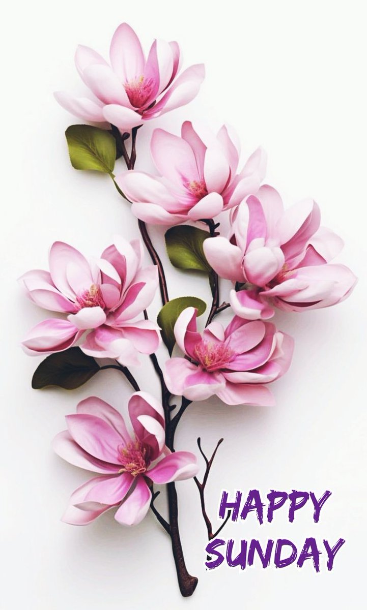๐ ๐แญ MaryEly๐ป (@_maryely_) on Twitter photo #STARTSFOLLOW
#EliFriends
<a href="/florchicana/">Selene ๎จ ๐๐คPerfectly imperfect ๐คโDMโ</a>๐
<a href="/nena_bovb51/">Nena</a>
<a href="/Da__Eliz/">Eli๐ธ</a>๐
<a href="/Firefly13X/">QueenLG</a>
<a href="/Aa_ban1/">โ๏ธป #TmGriffins๐ฆ
๏ธปโ</a>
<a href="/nbea_h/">#๐พ๐๐๐๐๐ฑ๐๐๐๐๐๐ #๐ฟ๐๐๐ฑ๐๐๐๐๐๐</a>
<a href="/mgor2021/">๐๐
พ๐
ฑ๐
ด๐๐๐
พ๐๐
ฐ</a>
<a href="/nealhailey/">๐นnealhailey๐น</a>
<a href="/WALLI27/">Jhon f perez๐ถ๐ธ๐ตโฏ</a>
<a href="/Luca25ita/">เผแญ๐ฟucas า #๐๐ค๐ซ๐&๐๐๐๐๐๐
</a>
<a href="/Alana__28/">#AmigosDโค #LoveDmami</a>
<a href="/mvf7186/">#TmSofia</a>
<a href="/EvilDoma/">๐ฟ๐๐๐๐ ๐๐ฆ=that tiny human</a>
<a href="/zahoorap1/">zahoor ahmed</a>
<a href="/PetalsStyle/">Pรฉtalaโ๏ธNO GRUPโ๏ธ</a>
<a href="/XEpifania3/">Sophie</a>
<a href="/FanstarSelena/">Selena Fan ๐ค๐ง๐ข๐ฏ๐ค๐ข๐ค๐ค๐ฐ๐ถ๐ฏ๐ต๐ค</a>
<a href="/GRAHAM15583/">๐
ถ๐๐
ฐ๐
ท๐
ฐ๐
ผ</a>
<a href="/PAYthe_PIPER/">PIPER #MAGA GAINS</a>
<a href="/RobertPage68/">#EliFriends ๐Robert๐</a>โฅ
<a href="/RampalS64916312/">Rampal Singh</a> #STARTSFOLLOW
#EliFriends
<a href="/florchicana/">Selene ๎จ ๐๐คPerfectly imperfect ๐คโDMโ</a>๐
<a href="/nena_bovb51/">Nena</a>
<a href="/Da__Eliz/">Eli๐ธ</a>๐
<a href="/Firefly13X/">QueenLG</a>
<a href="/Aa_ban1/">โ๏ธป #TmGriffins๐ฆ
๏ธปโ</a>
<a href="/nbea_h/">#๐พ๐๐๐๐๐ฑ๐๐๐๐๐๐ #๐ฟ๐๐๐ฑ๐๐๐๐๐๐</a>
<a href="/mgor2021/">๐๐
พ๐
ฑ๐
ด๐๐๐
พ๐๐
ฐ</a>
<a href="/nealhailey/">๐นnealhailey๐น</a>
<a href="/WALLI27/">Jhon f perez๐ถ๐ธ๐ตโฏ</a>
<a href="/Luca25ita/">เผแญ๐ฟucas า #๐๐ค๐ซ๐&๐๐๐๐๐๐
</a>
<a href="/Alana__28/">#AmigosDโค #LoveDmami</a>
<a href="/mvf7186/">#TmSofia</a>
<a href="/EvilDoma/">๐ฟ๐๐๐๐ ๐๐ฆ=that tiny human</a>
<a href="/zahoorap1/">zahoor ahmed</a>
<a href="/PetalsStyle/">Pรฉtalaโ๏ธNO GRUPโ๏ธ</a>
<a href="/XEpifania3/">Sophie</a>
<a href="/FanstarSelena/">Selena Fan ๐ค๐ง๐ข๐ฏ๐ค๐ข๐ค๐ค๐ฐ๐ถ๐ฏ๐ต๐ค</a>
<a href="/GRAHAM15583/">๐
ถ๐๐
ฐ๐
ท๐
ฐ๐
ผ</a>
<a href="/PAYthe_PIPER/">PIPER #MAGA GAINS</a>
<a href="/RobertPage68/">#EliFriends ๐Robert๐</a>โฅ
<a href="/RampalS64916312/">Rampal Singh</a>