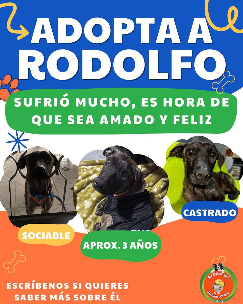 redbicheraof's tweet image. necesitamos de ustedes más q nunca🙏Tenemos muchas fichas de adopción activas, y cada vez que uno de ellos consigue familia,no solo gana él: también ganamos todos. Pq cuando se da en adopción,se libera un lugar, bajan los gastos y podemos seguir ayudando a los q siguen esperando.
