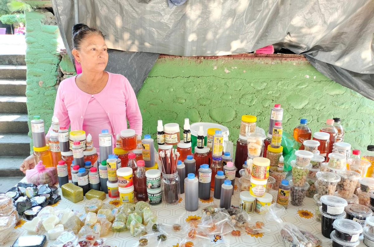 enfoqueinforma's tweet image. #Guerrero 📌 Apicultoras del municipio de Atoyac de Álvarez aseguran que la producción de miel ha disminuido hasta un 50 por ciento, situación que ha generado importantes pérdidas económicas para las familias que dependen de esta actividad.