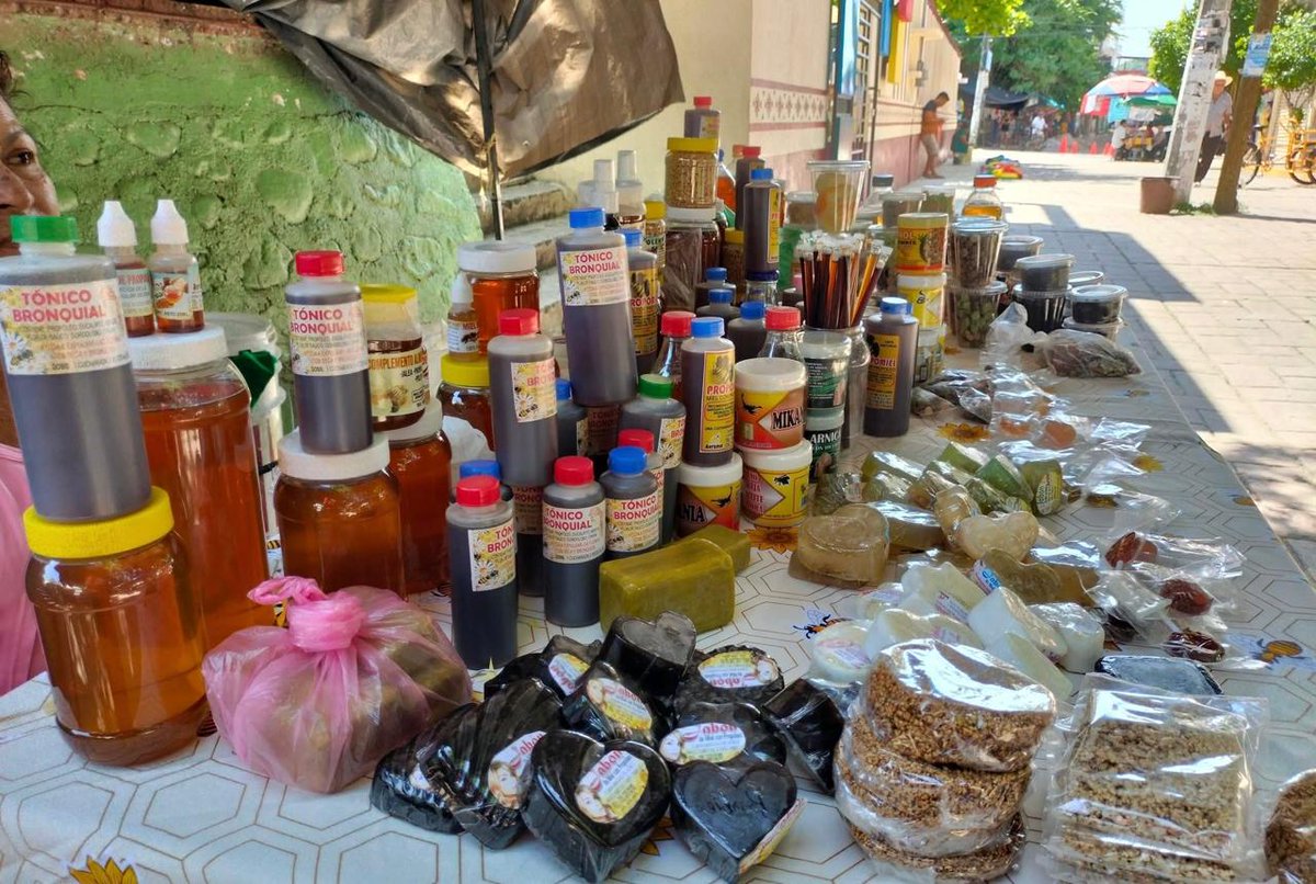 enfoqueinforma's tweet image. #Guerrero 📌 Apicultoras del municipio de Atoyac de Álvarez aseguran que la producción de miel ha disminuido hasta un 50 por ciento, situación que ha generado importantes pérdidas económicas para las familias que dependen de esta actividad.