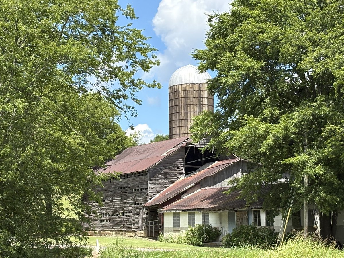 Side by side cruising this fine Sunday. #MuleTown