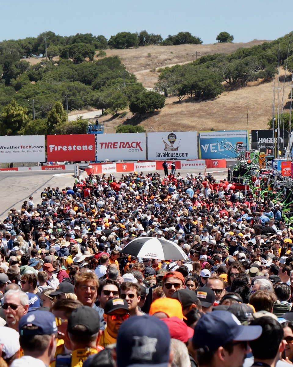 IndyCar's tweet image. A packed grid here for the #JavaHouseGP 😎