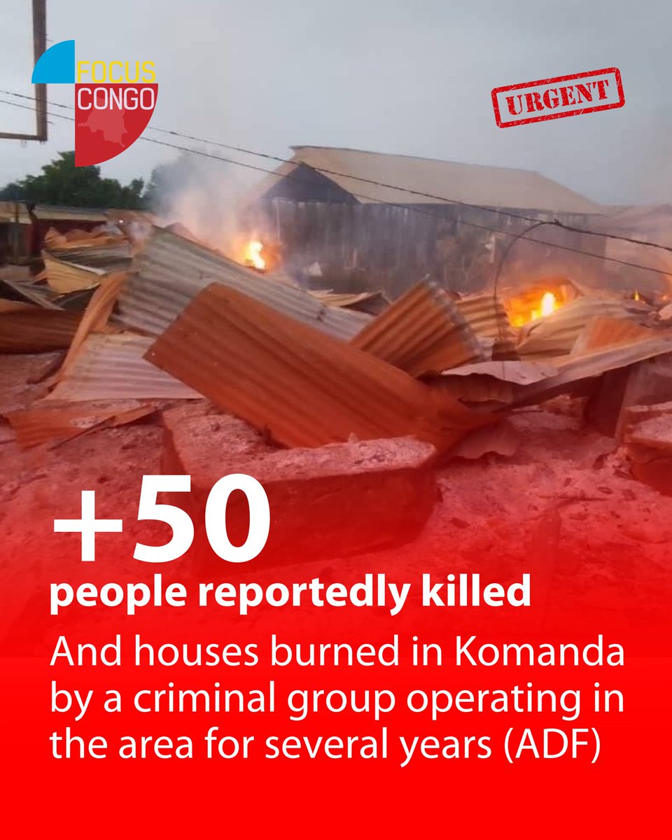 Focus Congo 𝕏 tweet media