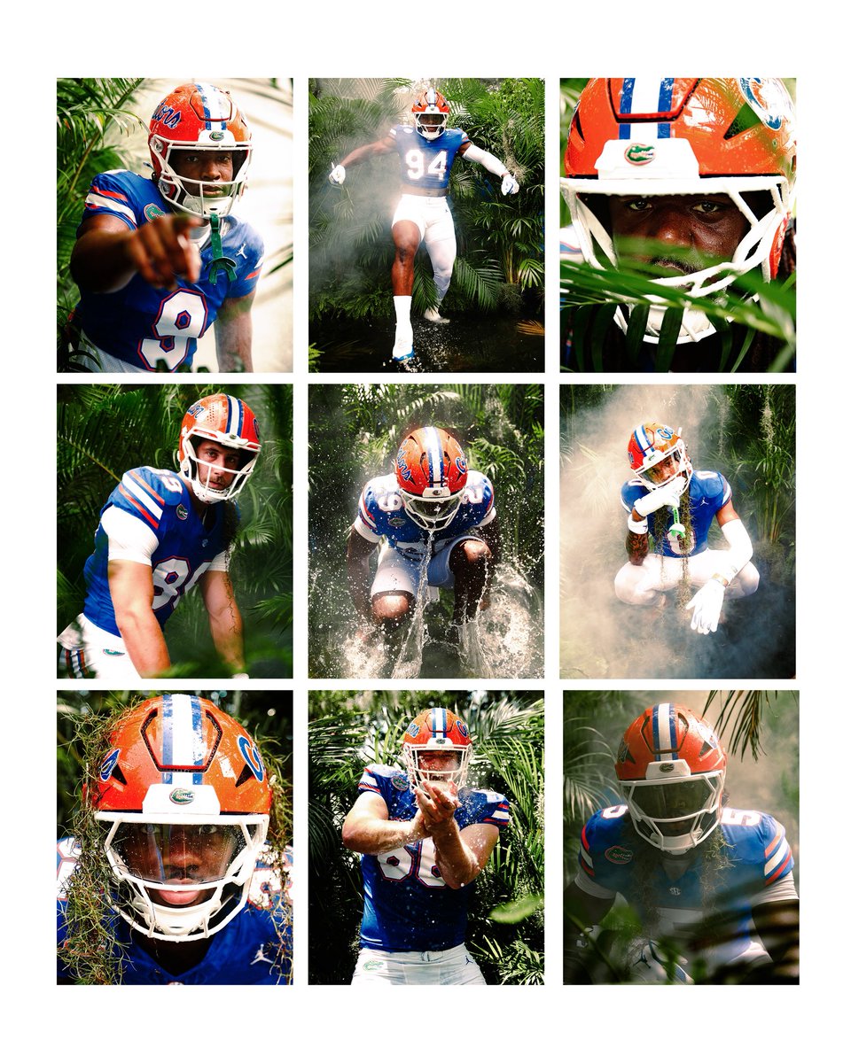 The Swamp 📸