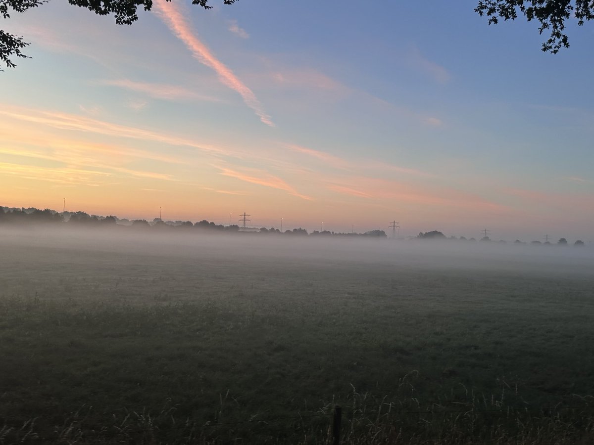 peoples_unicorn's tweet image. Nijmegen 4Daagse or 4 Days Marches pics