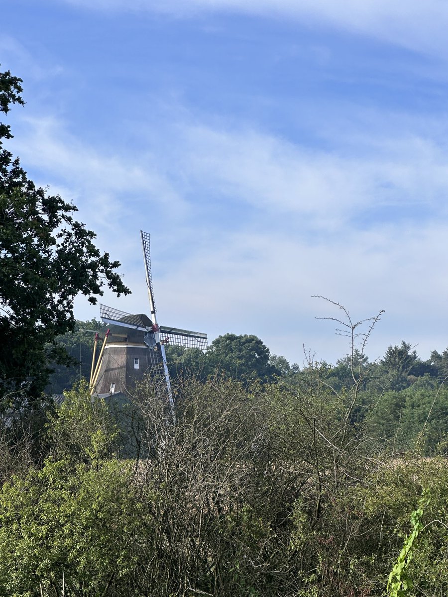 peoples_unicorn's tweet image. Nijmegen 4Daagse or 4 Days Marches pics