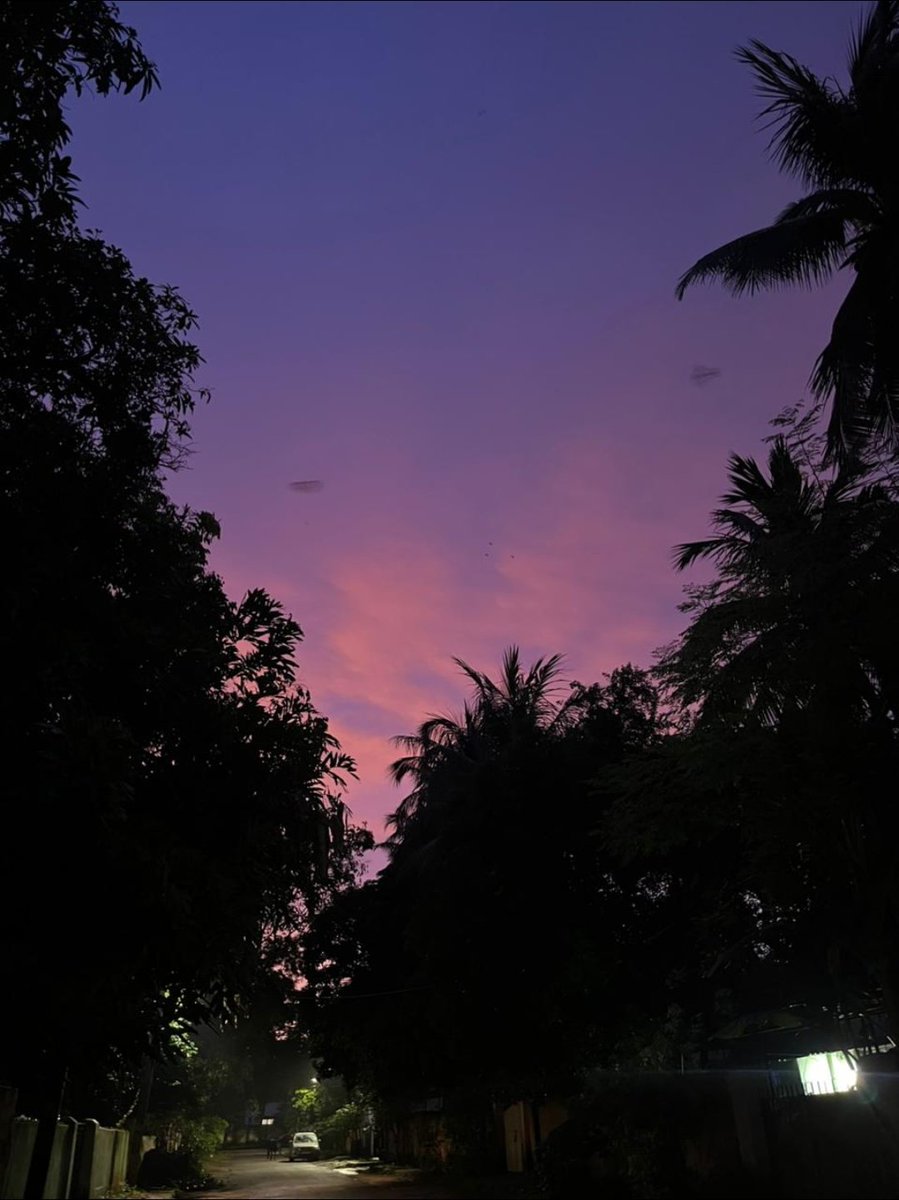 iamarchis16's tweet image. Goodnight,Although evening ki photo hei.📸
Calm & Peace,Relief 😮💨 ✌🏼🕊️