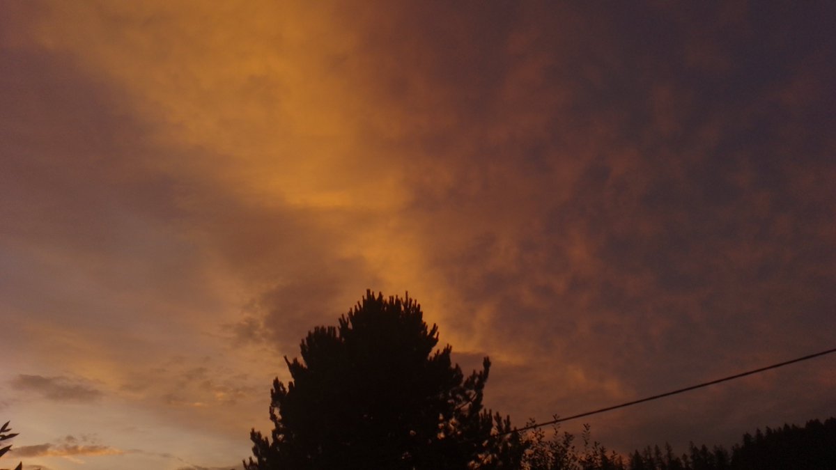 MeteoSynop's tweet image. Kolorowe zakończenie szarego dnia.

Nowa Ruda, 21:00:
☁️⩾7/8 - Sc(⩽1/8), Ac str tr, Cs (Cʟ = 5, Cᴍ = 3, Cʜ = 8)
temperatura: 16,9°C
temperatura punktu rosy: 15,1°C
wiatr 310°↘️o prędkości 3 m/s
widzialność: 30 km
ciśnienie względne: 1008,3 hPa⬇️(-0,4 hPa/3h)

@MeteoprognozaPL