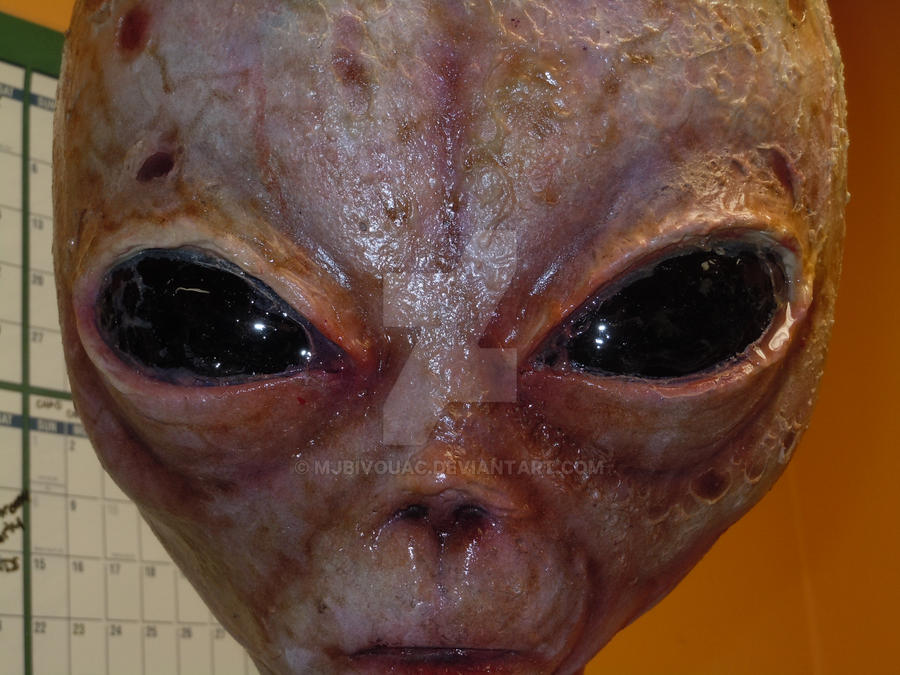 SummmertC's tweet image. Latest Selfie, Bwahahaha!