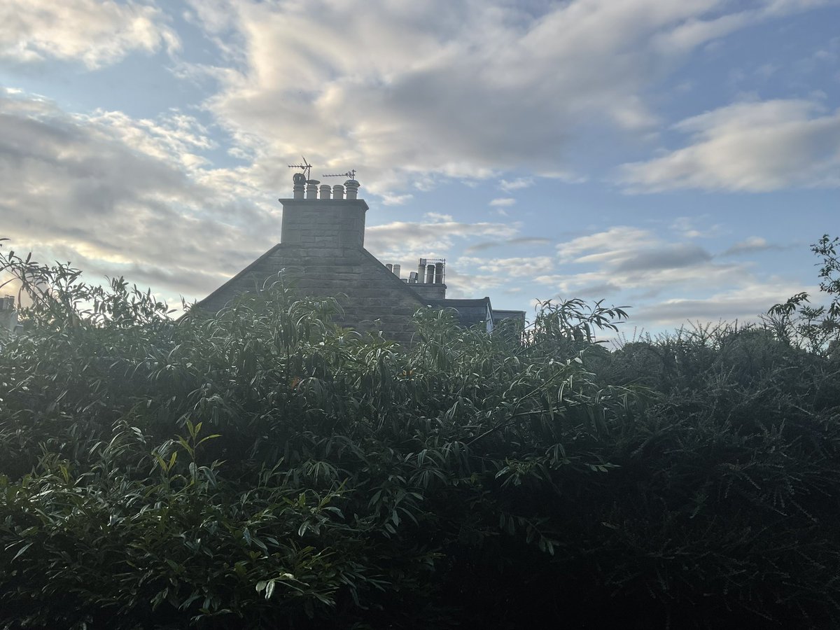 PotterVillamil's tweet image. 