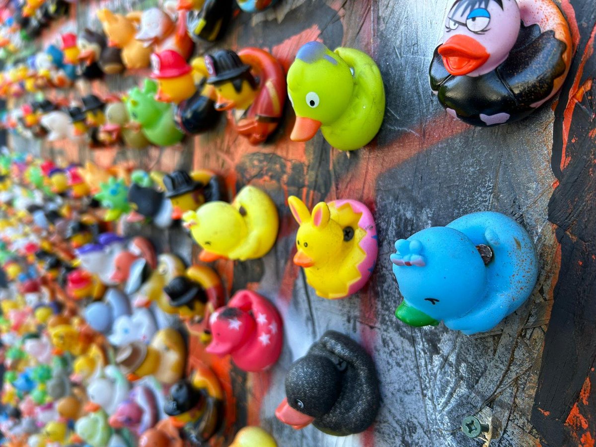 puf's tweet image. 🦆 Found another duck on the wall
On Divisadero, just south of Oak in SF, there's a wall full of rubber duckies and a sign:
> All in all, you're just another duck on the wall
Silly? Yes. Fun? Definitely! Go see it:
📍 maps.app.goo.gl/jkbKs65npfyCuR…
📸 More: puf.io/socials/2025-0…