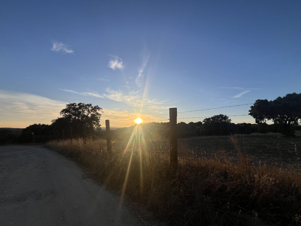 JGALLEGOonfire's tweet image. Soñando caminos de la tarde