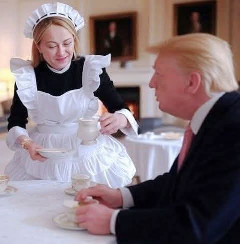 baffi_francesco's tweet image. Dazi, Trump e l'Unione Europea raggiungono l’accordo: “Tariffe al 15%”.
Tutto merito di Giorgia Meloni.....