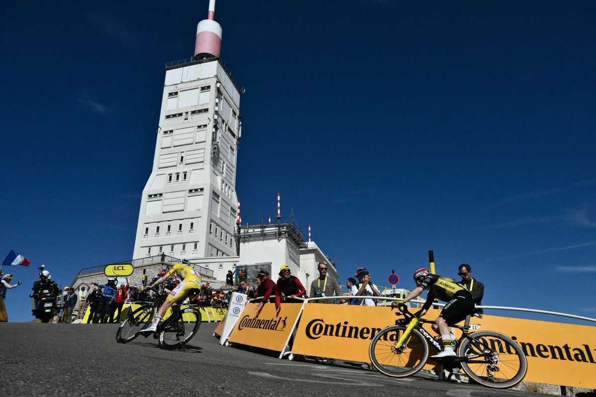 Jacob Whitehead tweet media