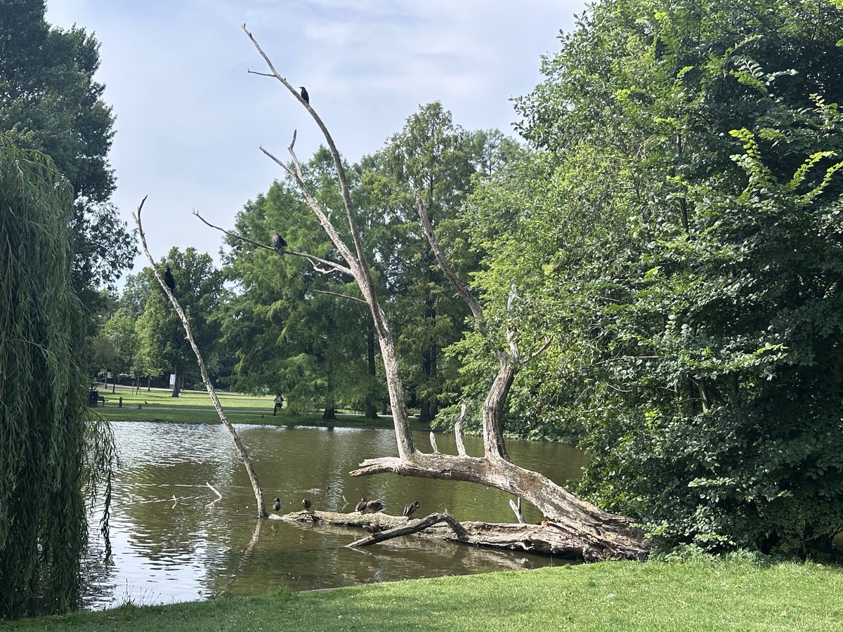 peoples_unicorn's tweet image. Oosterpark in Amsterdam