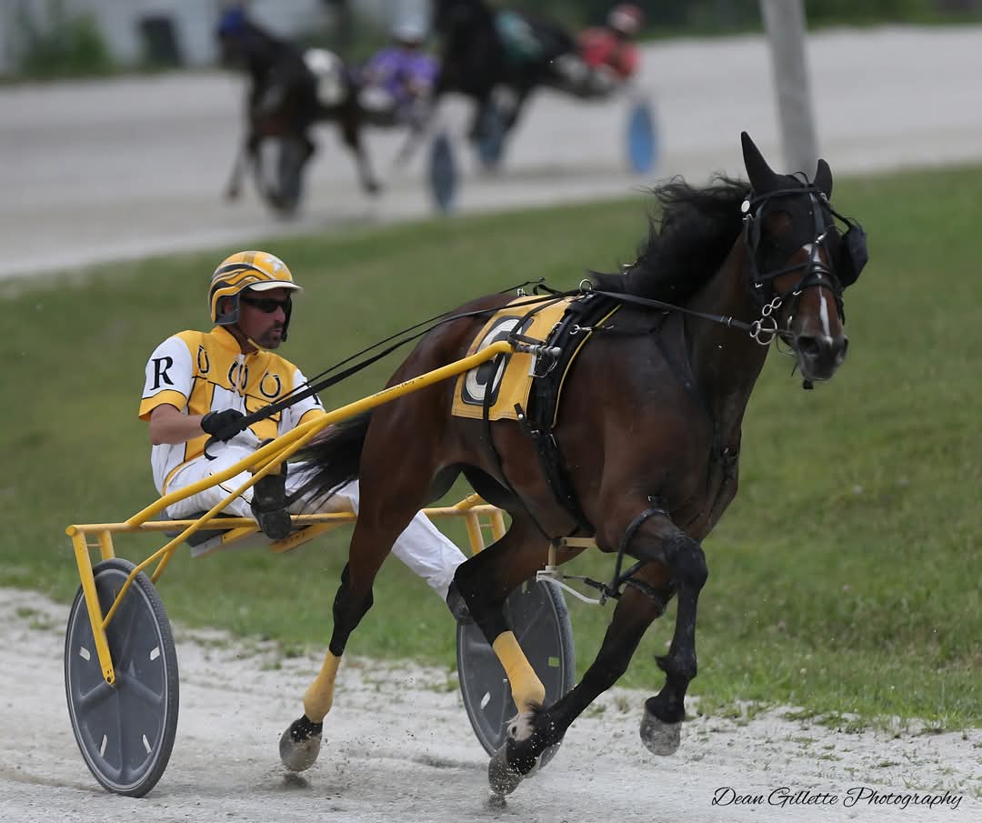 Indiana Harness (@indianaharness) on Twitter photo ๐๐๐
๐ ๐๐๐๐ ๐๐๐๐๐ ๐๐ - ๐๐๐๐ "๐๐๐๐๐ ๐
๐๐ ๐๐๐ ๐๐๐๐๐๐๐๐'๐ ๐๐๐" <a href="/jaycountyfair/">Jay County Fair</a>
๐ธ: <a href="/harnessindiana/">Dean Gillette</a>
#RaceLikeAHoosier #ISFCircuit #Indiana #HarnessRacing ๐๐๐
๐ ๐๐๐๐ ๐๐๐๐๐ ๐๐ - ๐๐๐๐ "๐๐๐๐๐ ๐
๐๐ ๐๐๐ ๐๐๐๐๐๐๐๐'๐ ๐๐๐" <a href="/jaycountyfair/">Jay County Fair</a>
๐ธ: <a href="/harnessindiana/">Dean Gillette</a>
#RaceLikeAHoosier #ISFCircuit #Indiana #HarnessRacing