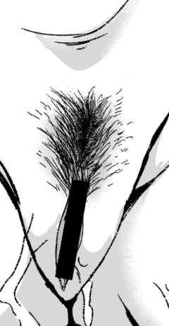 陰毛職人の朝は早い
今回の本は成長過程をお楽しみください 