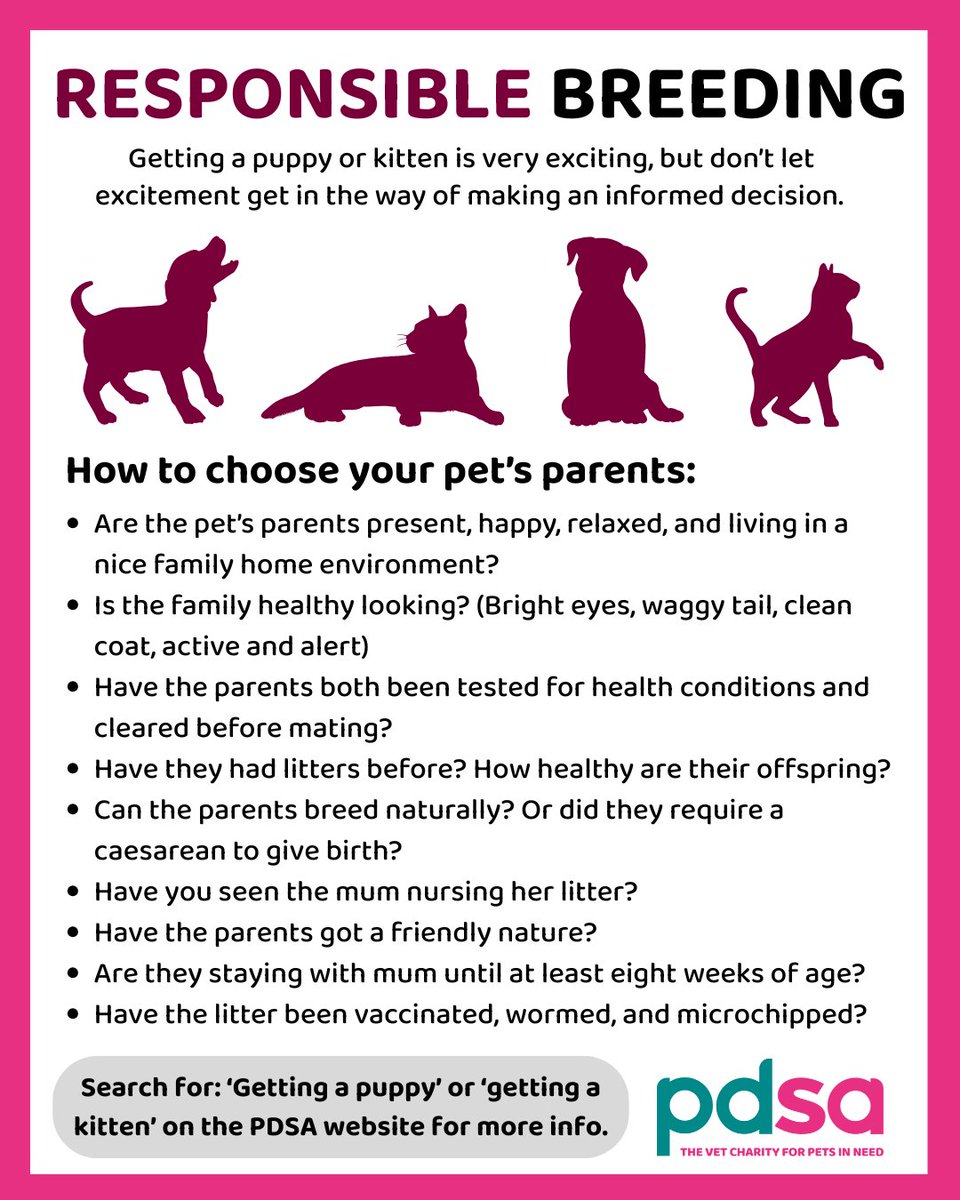 Thinking about adopting a puppy or kitten? 🐶🐱

This #ParentsDay, we're highlighting things to look out for when choosing your future four-legged friend. Happy and healthy pet parents are more likely to create happy and healthy offspring ❤️