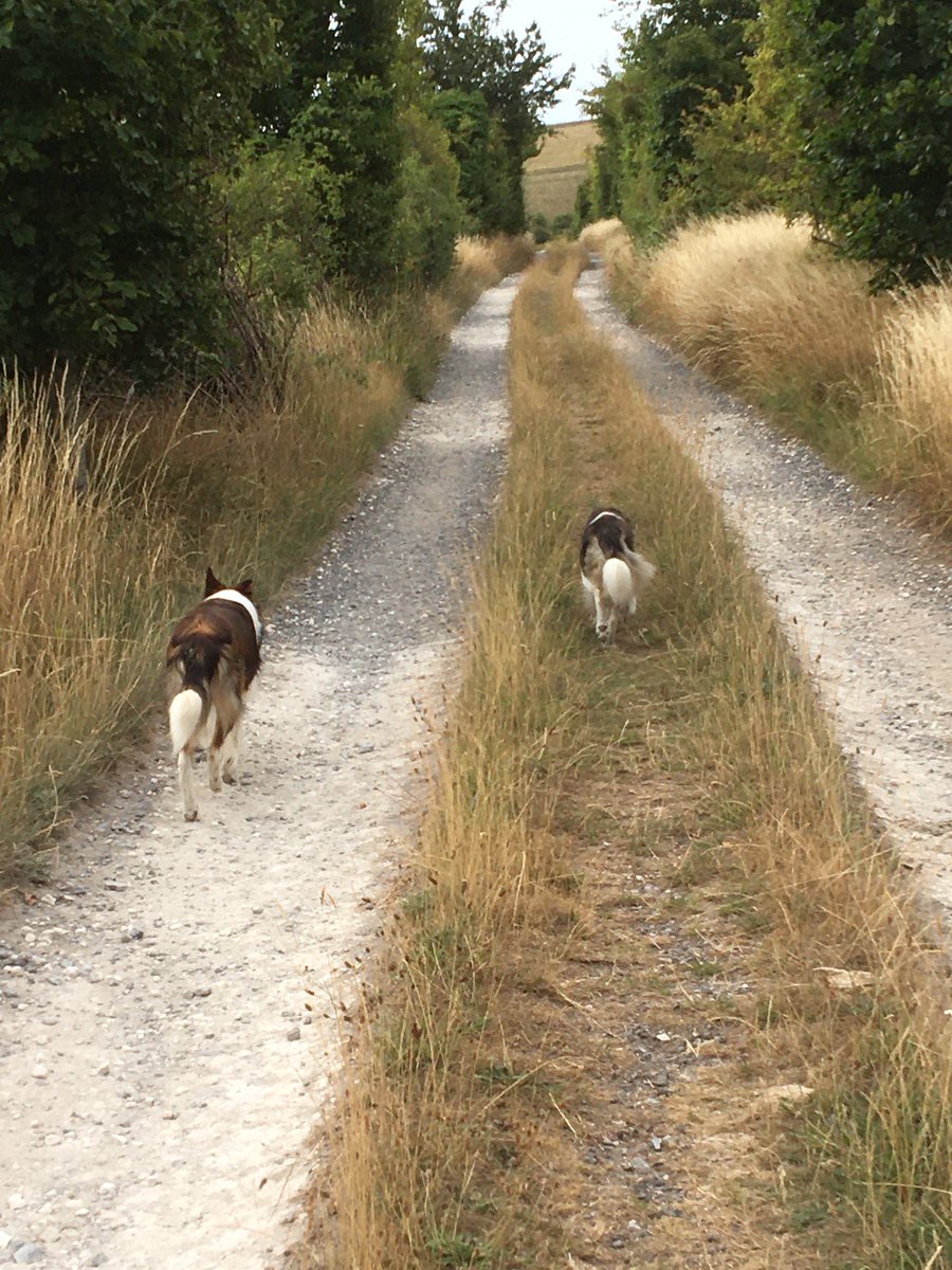 We been on walks today an did some posing 😃