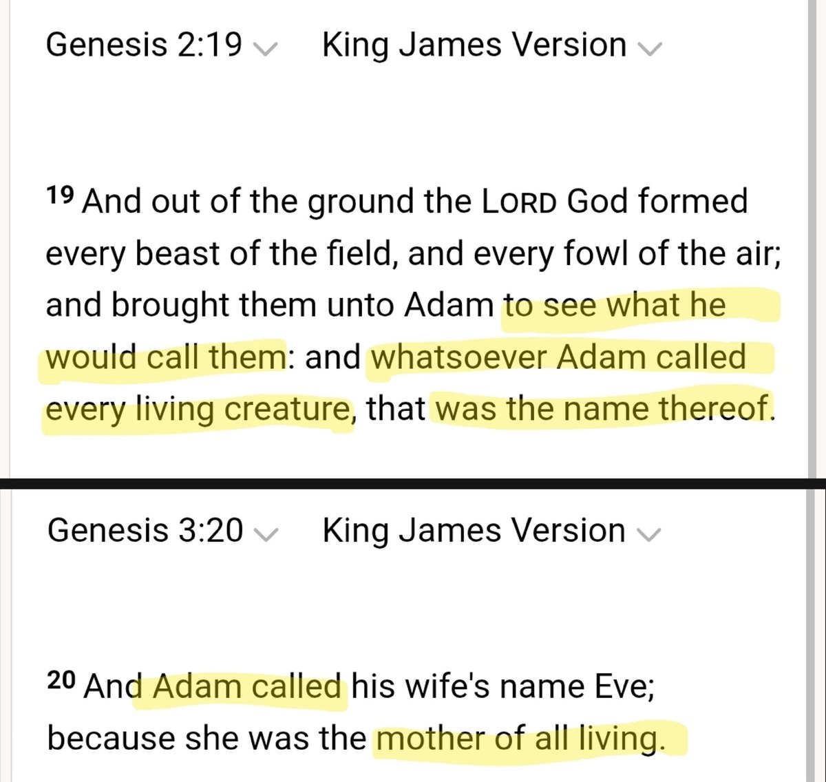 Adam called...
