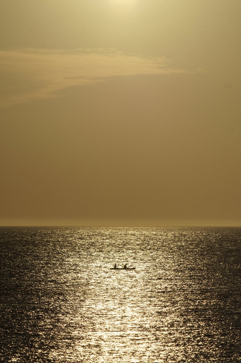delamondiola's tweet photo. https://t.co/UkD6k9PLlW