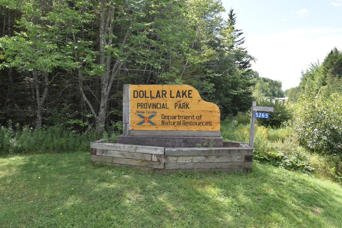 Baking_Biscuits's tweet image. Dollar Lake is closed and at capacity. This was never an issue a few years ago. Now we are overrun by immigrants who are taking up our spaces.
Yeah, they are shitting here too. Deport the shitters.