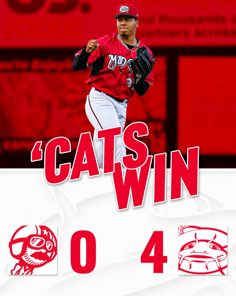 'Cats &gt; Cannon Ballers